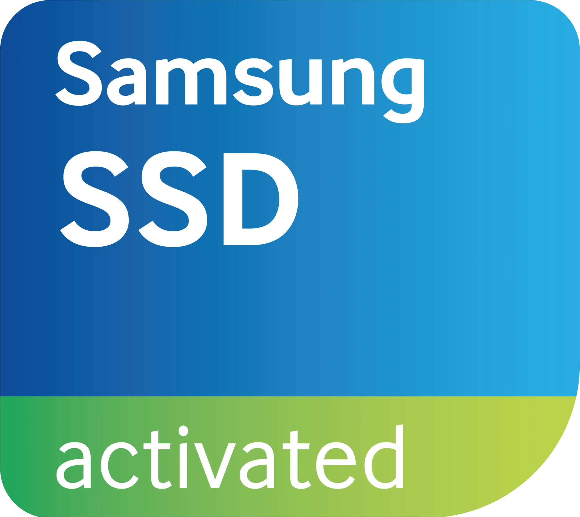 SAS SSD
